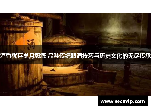 酒香犹存岁月悠悠 品味传统酿酒技艺与历史文化的无尽传承