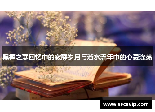黑檀之寒回忆中的寂静岁月与逝水流年中的心灵涤荡