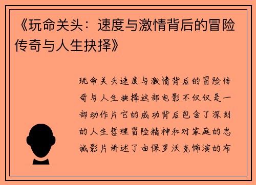《玩命关头：速度与激情背后的冒险传奇与人生抉择》